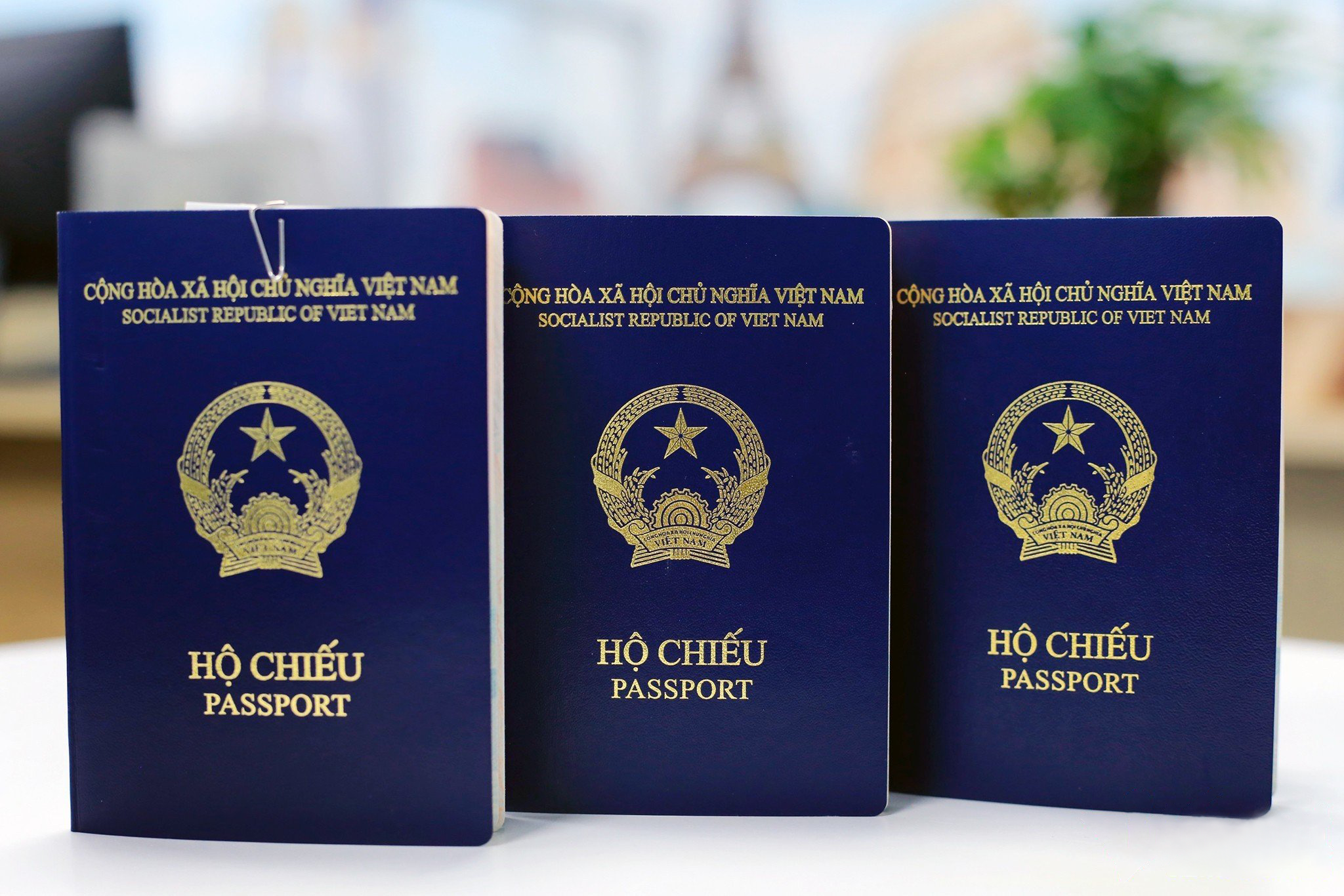 Hộ chiếu Việt Nam